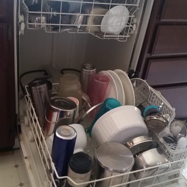 Get rid of occasional odor coming from dishwasher