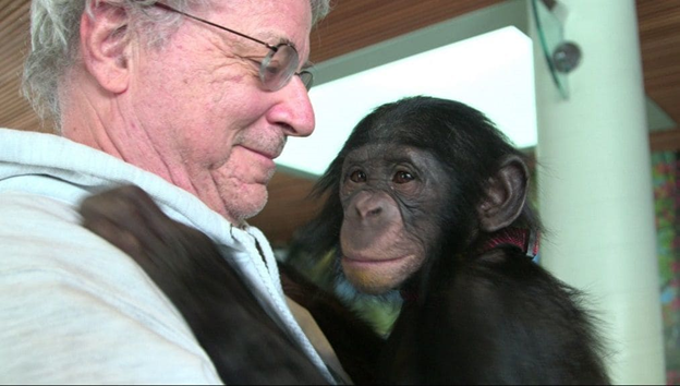 N.Y. appellate court considers rights case for chimpanzees